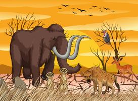 Wild animals at dry forest  vector
