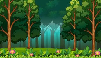 Dark Rainforest with Big Trees Landscape vector