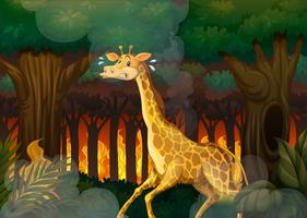 A giraffe running away from wildfire forest