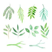 watercolor leaves and branches set vector