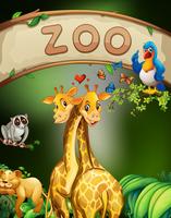 Zoo sign and many animals vector