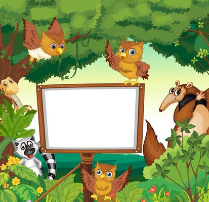 Wild animals and white board in the jungle