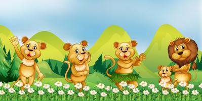 Lion family in the flower field vector