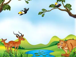 Animals and pond vector