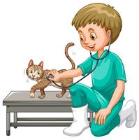 Veterinario examinando pequeño gato