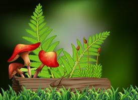 Background scene with mushroom and log vector