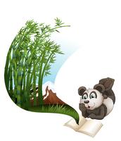 Panda reading book about bamboo vector