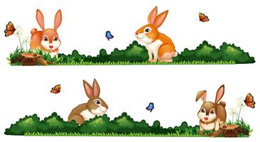 Rabbits being happy in the garden vector