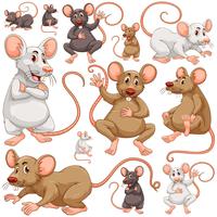 Seamless background with many rats vector
