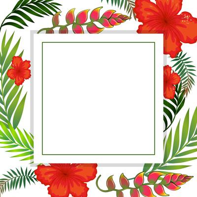 Beautiful Tropical Summer Flower Frame