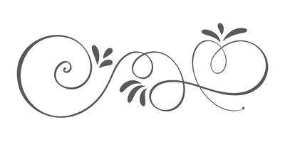 Vector dibujado a mano elementos de diseño caligráfico Flourish primavera. Decoración floral de estilo ligero para web, bodas y estampados. Aislados en fondo blanco Ilustración de caligrafía y letras