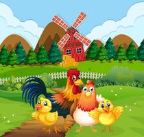 Chicken family at farmland vector