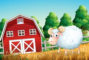 A sheep at farmland vector