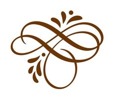 Elementos florales caligráficos dibujados mano del diseño del Flourish de la primavera en estilo aislados en el fondo blanco. Ilustración de vector caligrafía y letras
