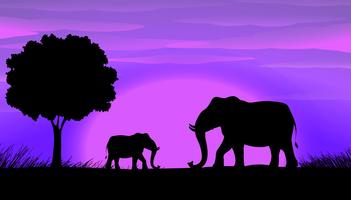 Silhouette Elephants vector