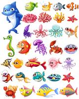 Different types of sea animals vector