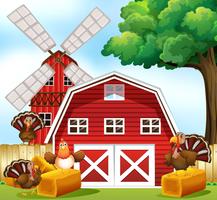 Farmhouse vector