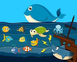 Ocean scene with sea animals vector