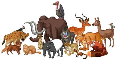 Different kind of wild animals vector