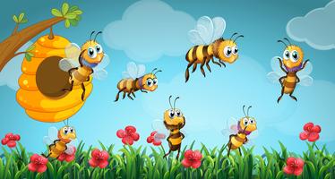Bees flying out of beehive in the garden vector