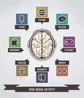 Infografía de la actividad cerebral. vector