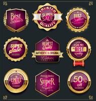 Luxury premium golden badges and labels vector