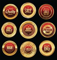 Luxury premium golden badges and labels vector