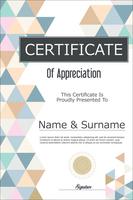 Certificate vector