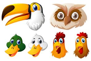 Animal heads on white background vector