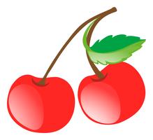 Fresh cherries on white background vector