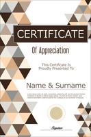 Certificate vector