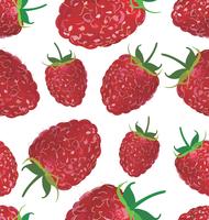 Seamless background with raspberry vector