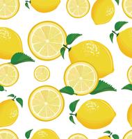 Seamless background with lemon vector