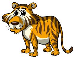 Tigre salvaje sobre fondo blanco vector