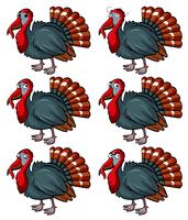 Wild turkey with different emotions vector