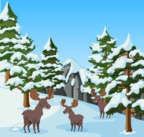 Three mooses in the snow mountain vector