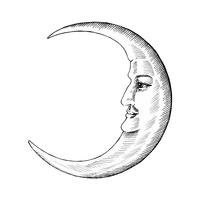 MOON - LINE DRAWING - Download Free Vector Art, Stock Graphics & Images