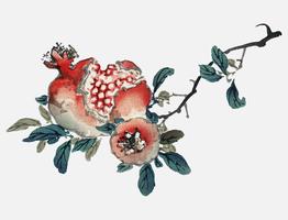 Pomegranate by Kno Bairei 1844-1895. Digitally enhanced from our own original 1913 edition of Bairei Gakan. vector