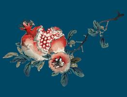 Pomegranate by Kno Bairei 1844-1895. Digitally enhanced from our own original 1913 edition of Bairei Gakan. vector