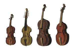 Una colección de violín antiguo, viola, cello y más de la Enciclopedia Londinensis; o Diccionario Universal de las Artes, las Ciencias y la Literatura (1810). Mejorado digitalmente por rawpixel. vector