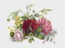 Bodegón colorido de flores (1850), un arreglo de hermosas flores. Mejorado digitalmente por rawpixel. vector