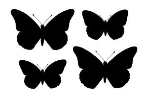 Mariposa monarca (Danais Archippus) de polillas y mariposas de los Estados Unidos (1900) por Sherman F. Denton (1856-1937). Mejorado digitalmente por rawpixel. vector