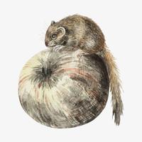 Download Coloring Book Animals Vector - Download Free Vectors, Clipart Graphics & Vector Art