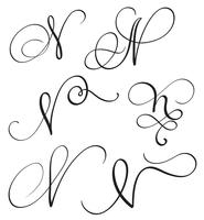 set of art calligraphy letter N with flourish of vintage decorative whorls. Vector illustration EPS10