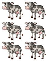 Cow with different facial expressions vector