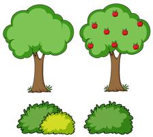 Set of simple tree vector