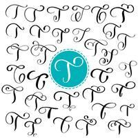 Set letter T. Hand drawn vector flourish calligraphy. Script font. Isolated letters written with ink. Handwritten brush style. Hand lettering for logos packaging design poster