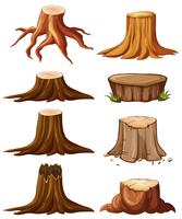 Different types of stumps