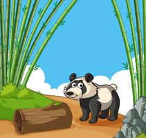 Happy panda in bamboo forest vector