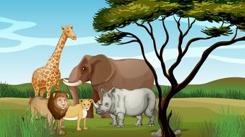 Scary animals in the jungle vector